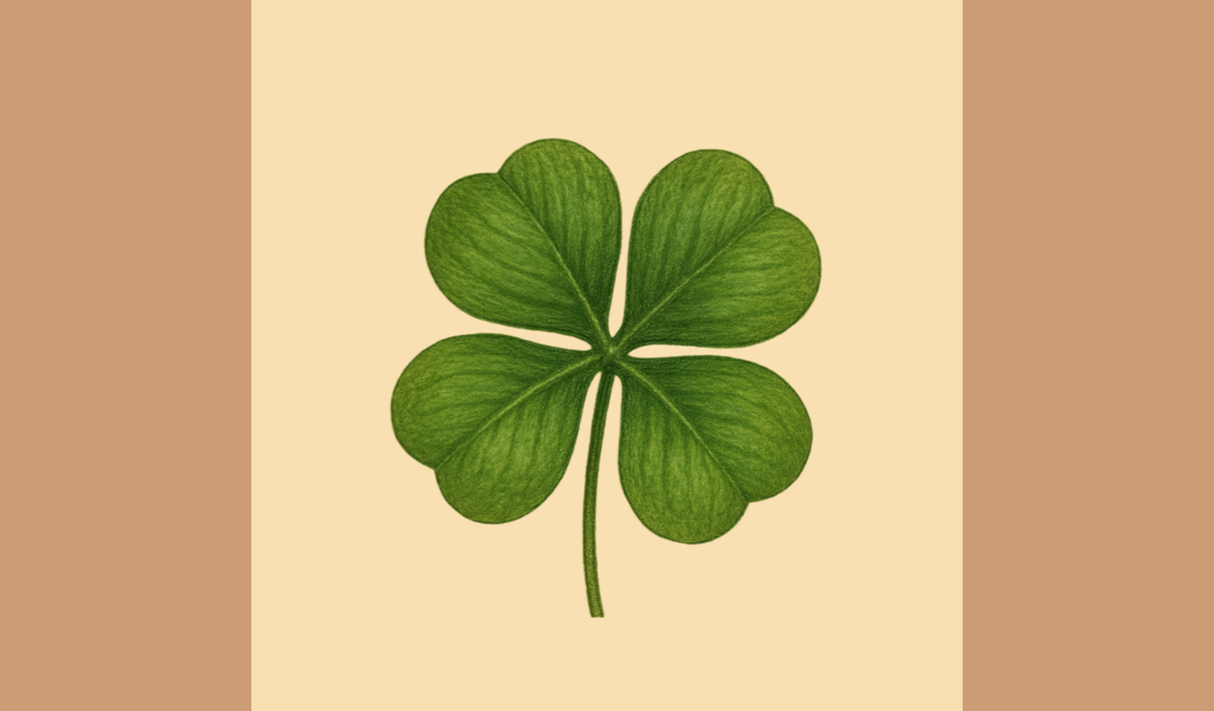 Four Years, Four Thousand Memories, and We’re Just Getting Started