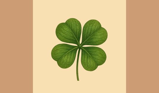 Four Years, Four Thousand Memories, and We’re Just Getting Started